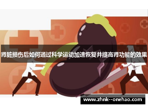 肾脏损伤后如何通过科学运动加速恢复并提高肾功能的效果