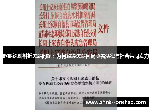 赵鹏深刻剖析欠薪问题：为何解决欠薪困局亟需法律与社会共同发力