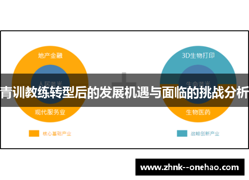青训教练转型后的发展机遇与面临的挑战分析