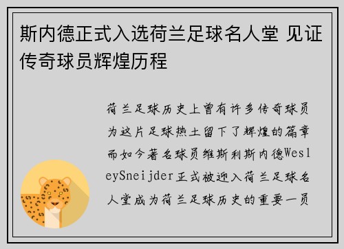 斯内德正式入选荷兰足球名人堂 见证传奇球员辉煌历程 斯内德正式入选荷兰足球名人堂 见证传奇球员辉煌历程